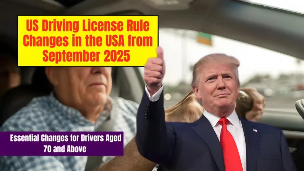 Driving License Rule